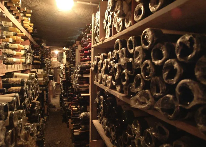 Tosco Romagnolo Otel 4*